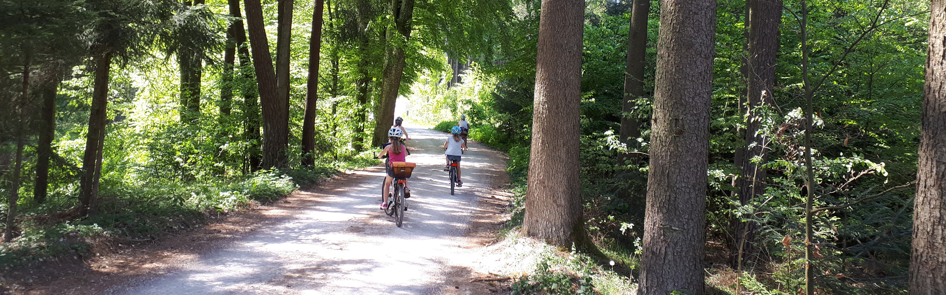 Slider Radlfahrer im Wald