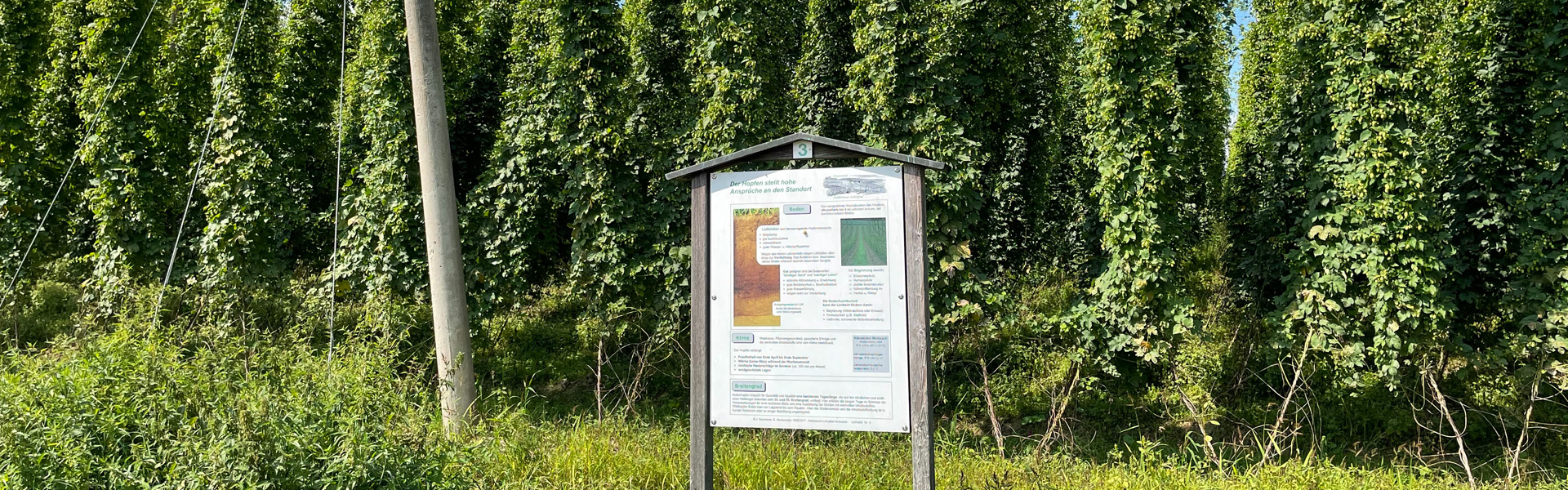 Slider Lehrpfad Hopfen