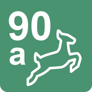 Nr. 90a Wanderweg - 3,8 km