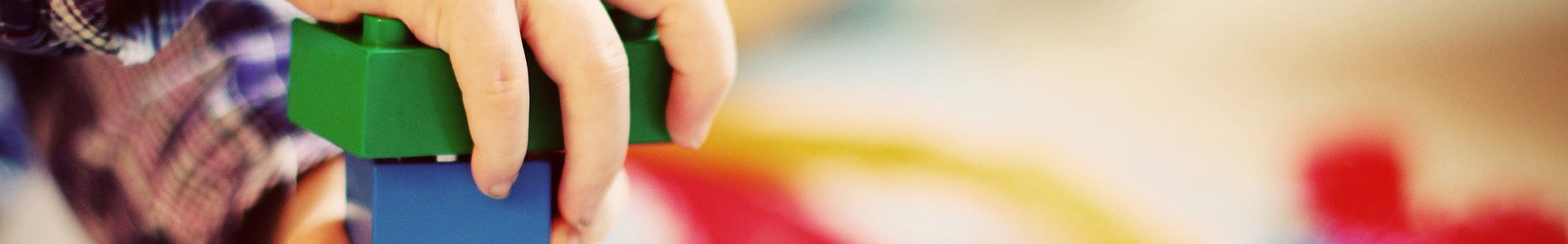 2 Header Sonnenblume