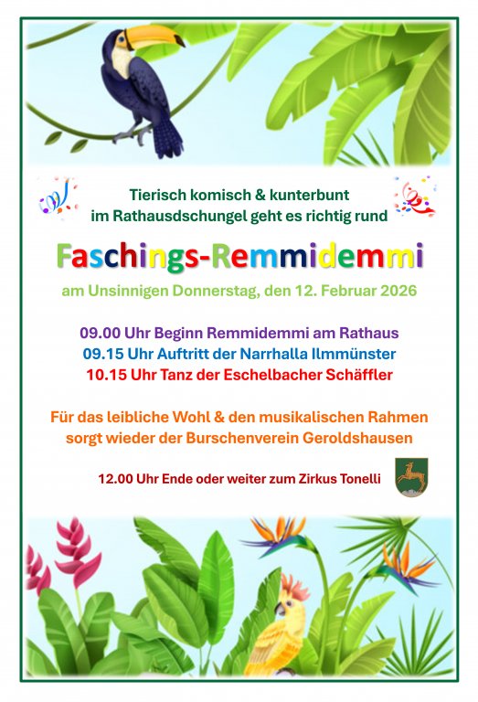 Grossansicht in neuem Fenster: Fasching Wolnzach Marktplatz Remmidemmi